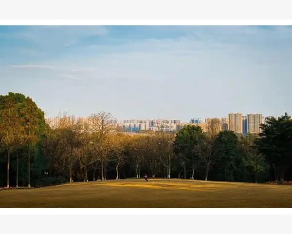 B2B发布员高效工作技巧实战分享